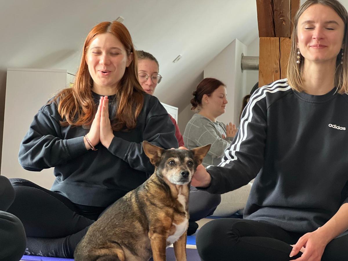 Om Yoga Center Apartment Словенска Бистрица Екстериор снимка
